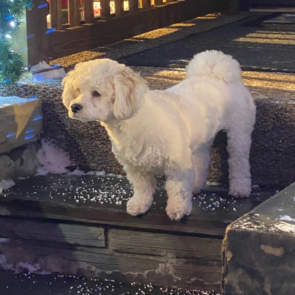 Meet your Posher, Judith